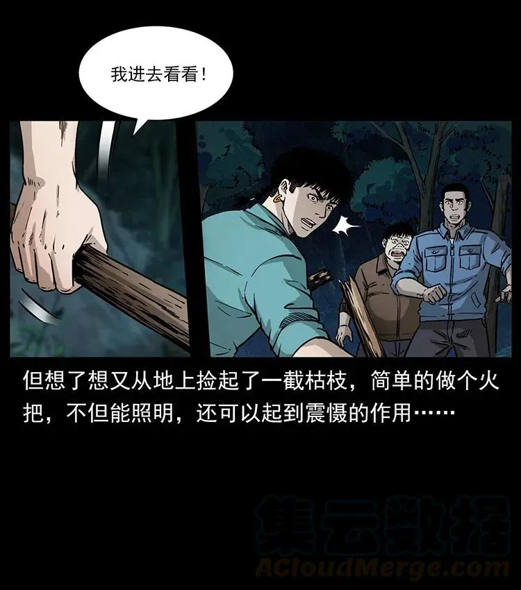 342 白毛僵尸 第13页