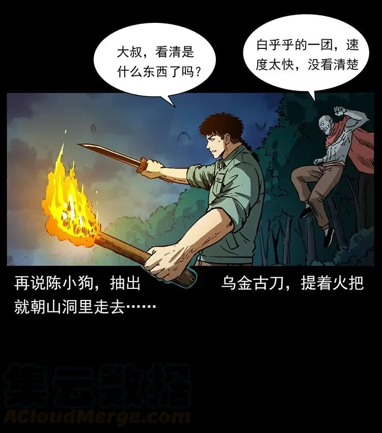 342 白毛僵尸 第17页