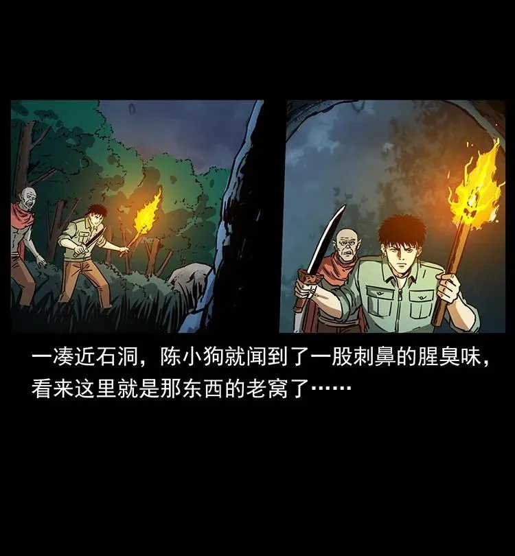 342 白毛僵尸 第19页
