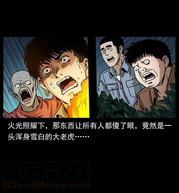 342 白毛僵尸 第21页