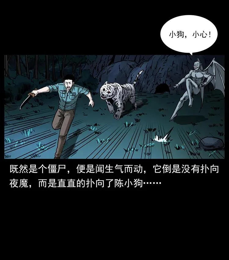 342 白毛僵尸 第24页