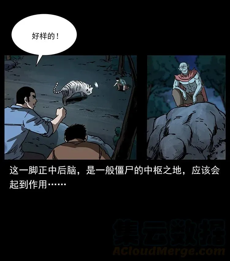 342 白毛僵尸 第29页