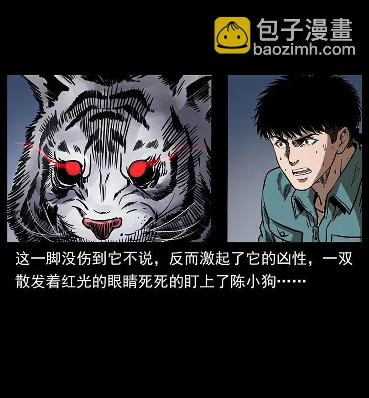 342 白毛僵尸 第31页