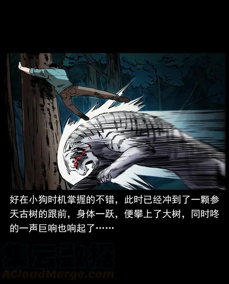 342 白毛僵尸 第37页