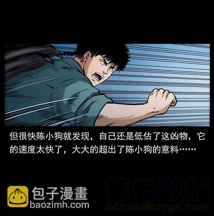 342 白毛僵尸 第41页