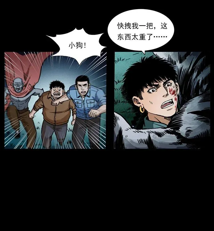 342 白毛僵尸 第51页