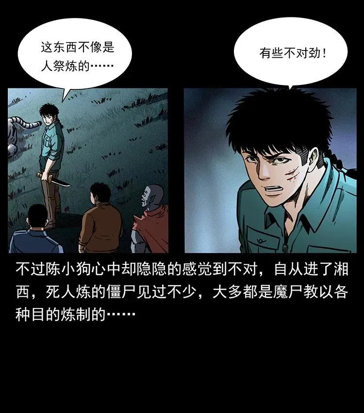 342 白毛僵尸 第56页