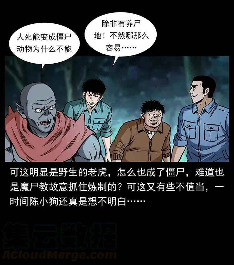 342 白毛僵尸 第57页