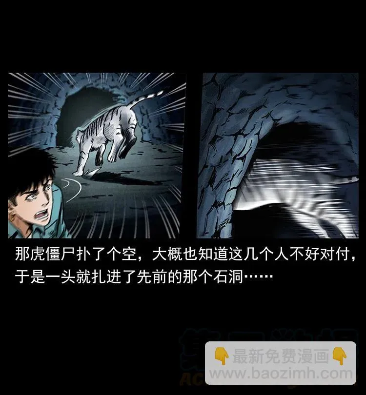 342 白毛僵尸 第61页