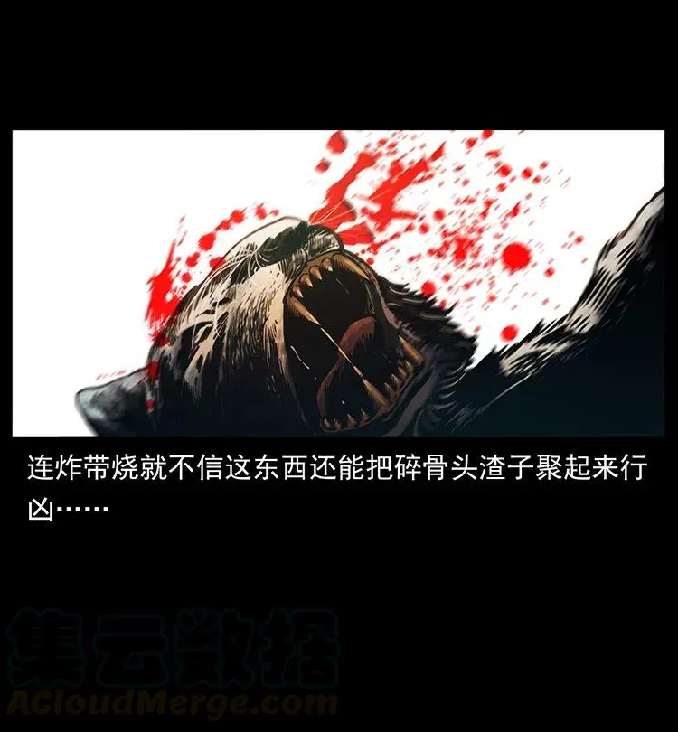 342 白毛僵尸 第69页