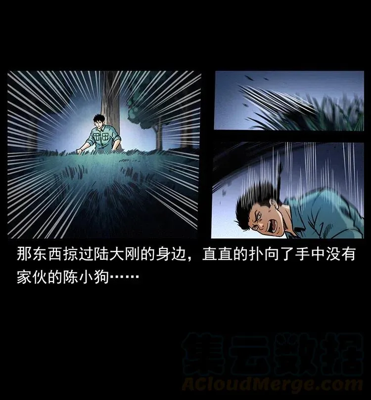 341 咒术 第81页