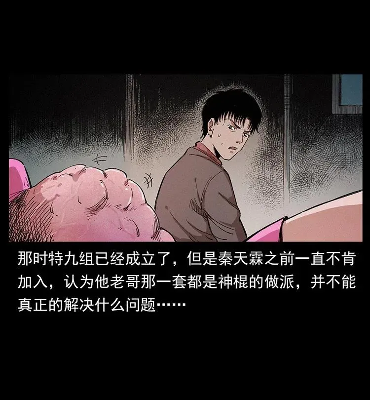343 秦大麻烦的往事 第37页