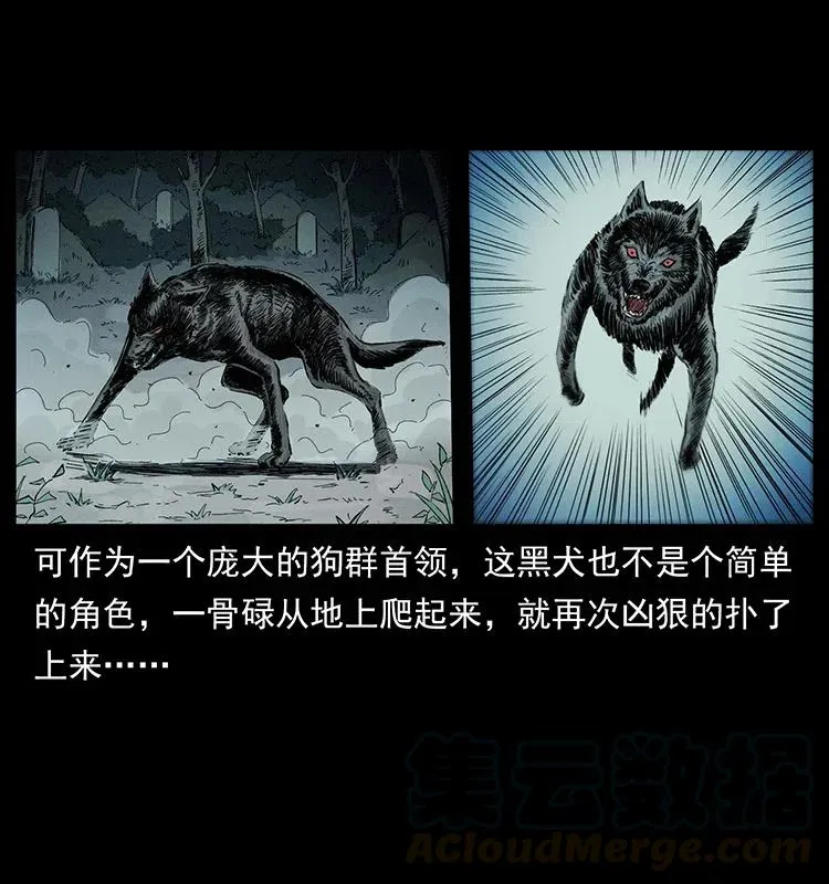 344 刨尸狗&大冥皇 第13页