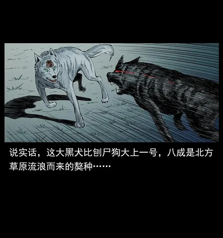 344 刨尸狗&大冥皇 第14页