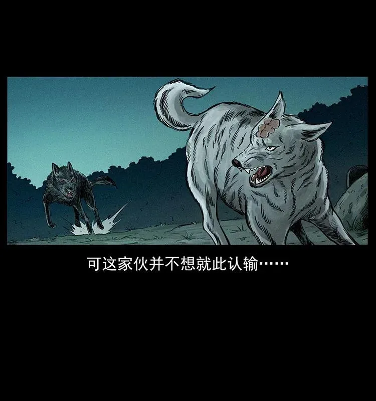 344 刨尸狗&大冥皇 第19页