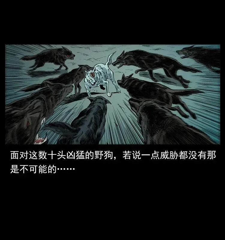 344 刨尸狗&大冥皇 第22页