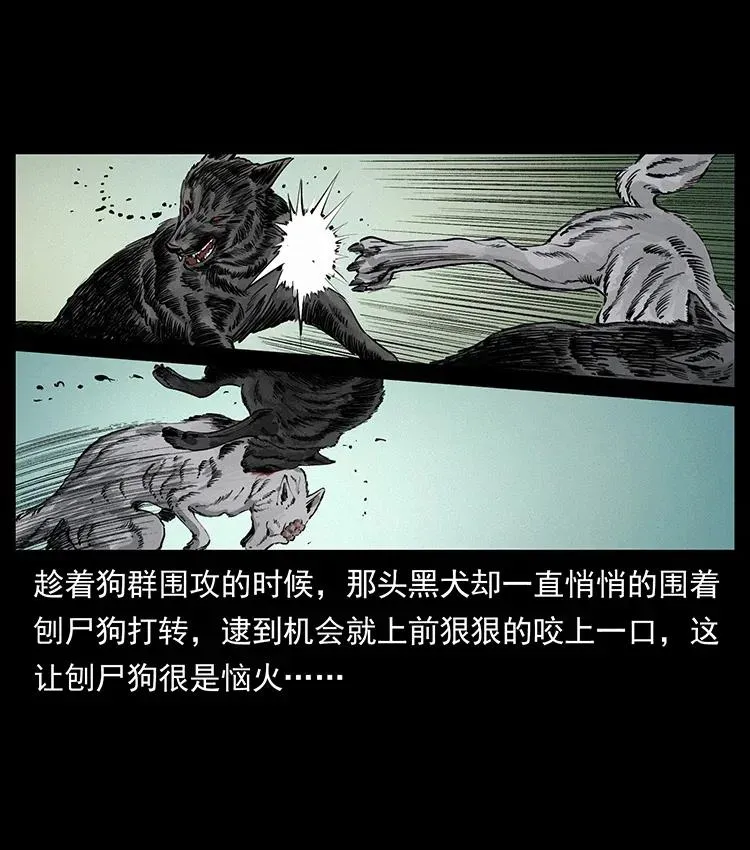 344 刨尸狗&大冥皇 第24页