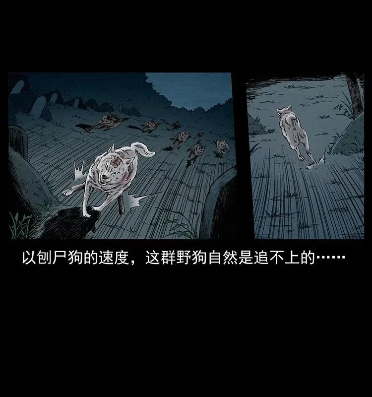 344 刨尸狗&大冥皇 第27页