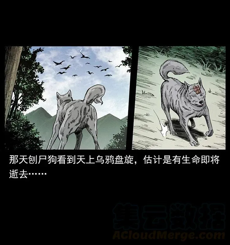 344 刨尸狗&大冥皇 第33页