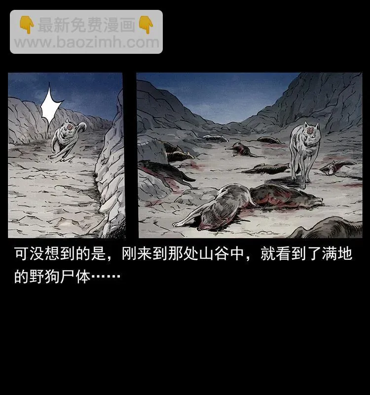 344 刨尸狗&大冥皇 第35页