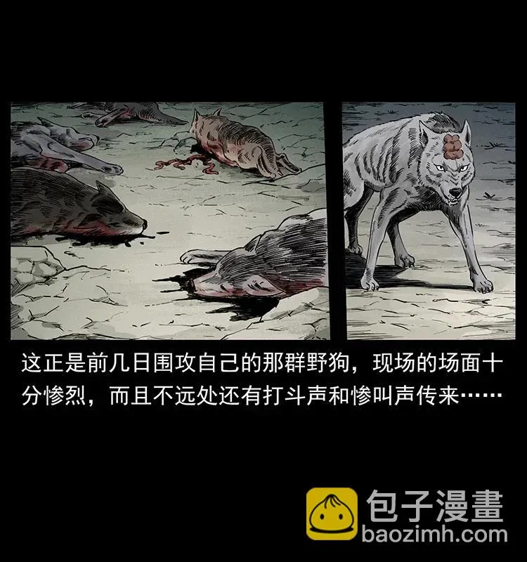 344 刨尸狗&大冥皇 第36页
