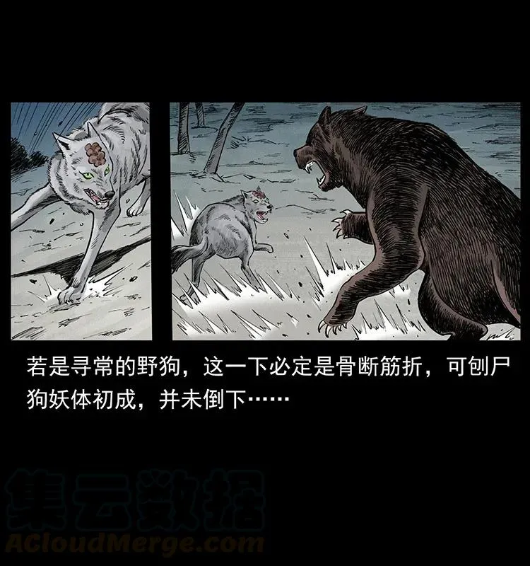 344 刨尸狗&大冥皇 第45页