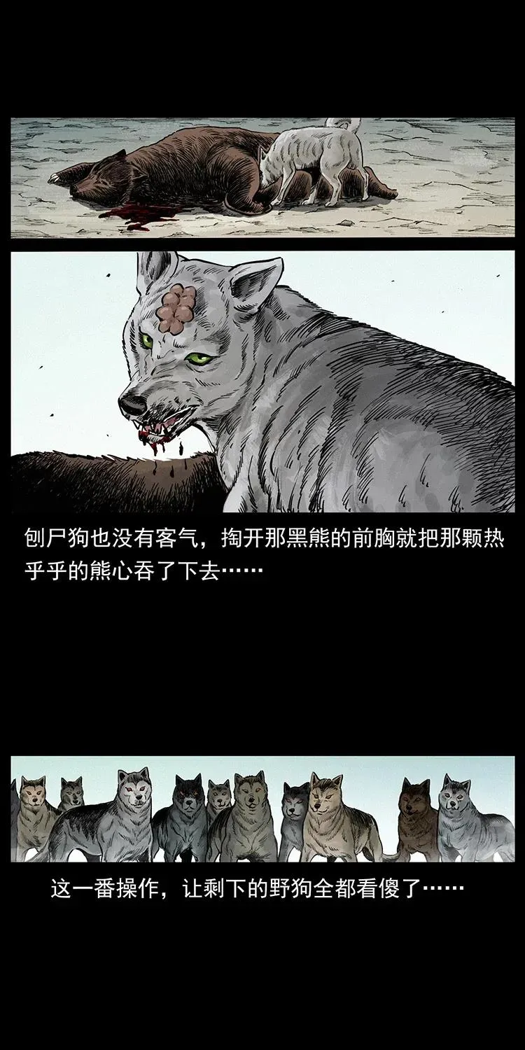 344 刨尸狗&大冥皇 第51页