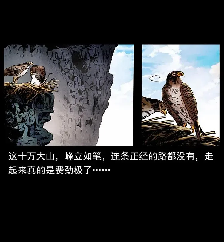 351 前路凶险 第3页