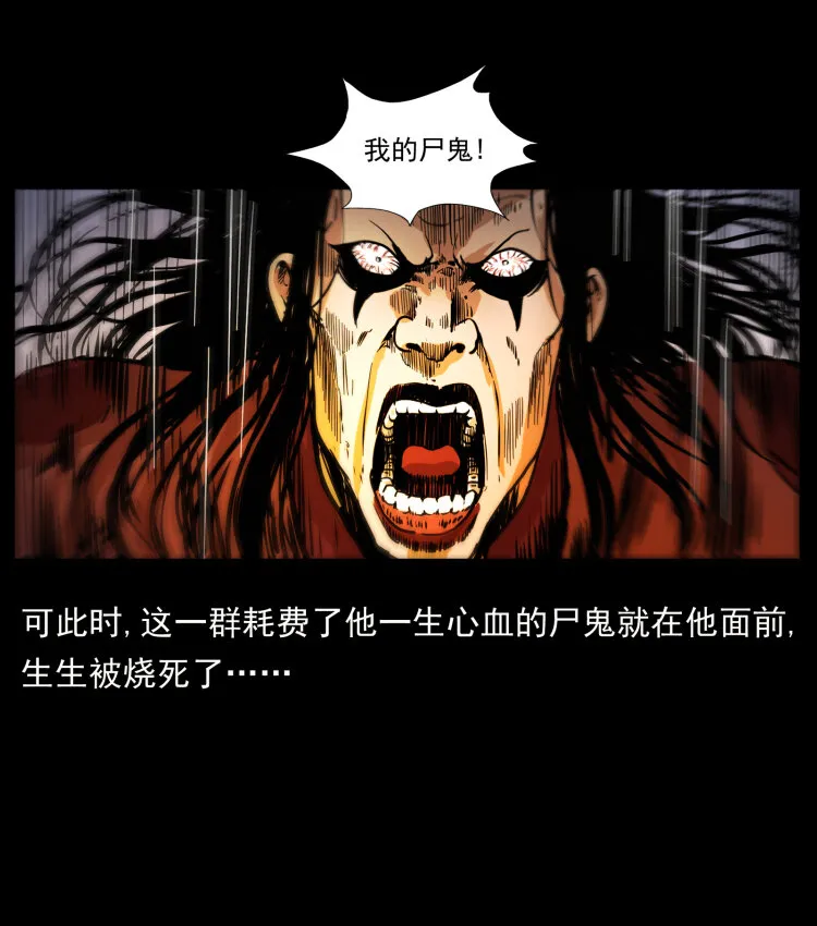 356 飞僵 第51页