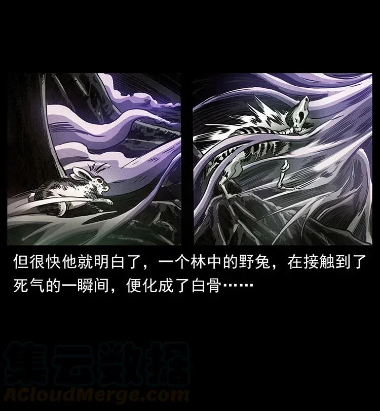362 半神之境 第37页