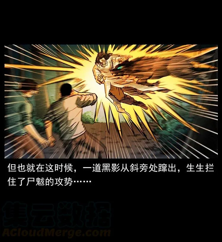 362 半神之境 第61页