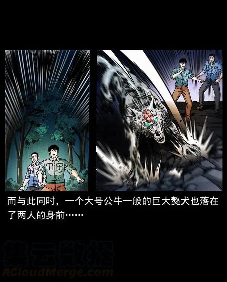 362 半神之境 第64页