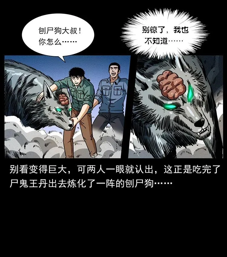 362 半神之境 第65页
