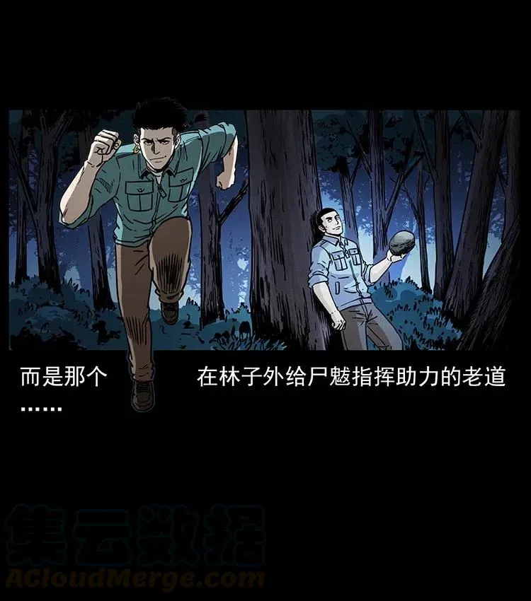 363 丹鼎 第46页