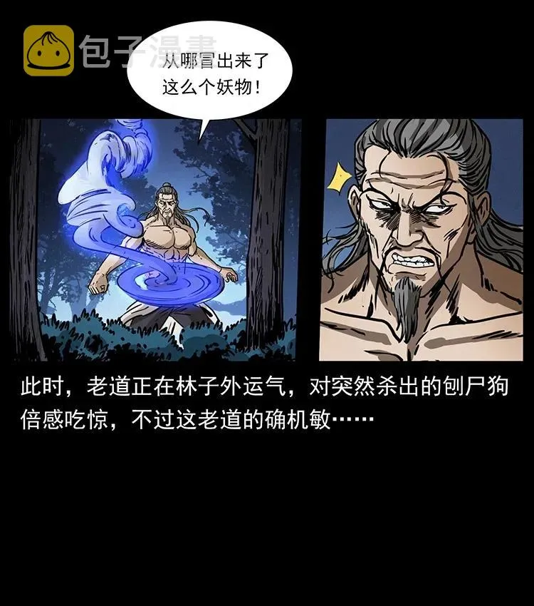363 丹鼎 第47页
