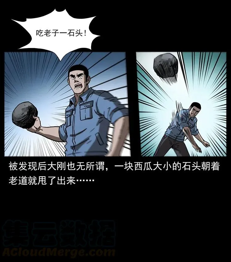363 丹鼎 第49页