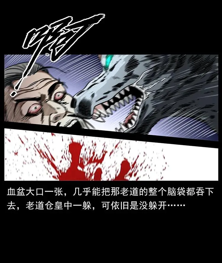 365 死的诅咒 第35页