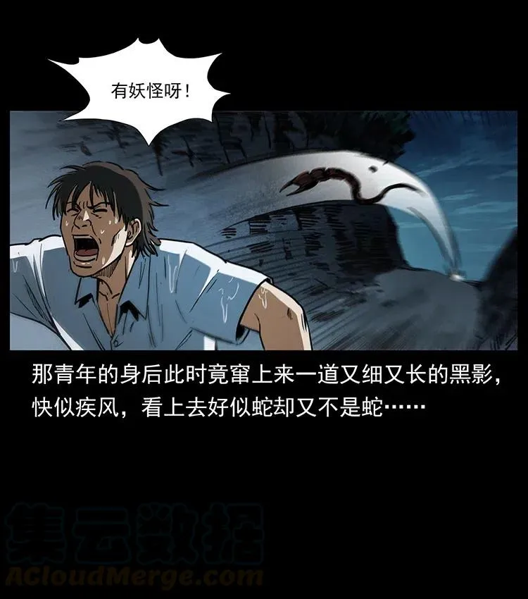 367 什么？女妖怪！ 第31页