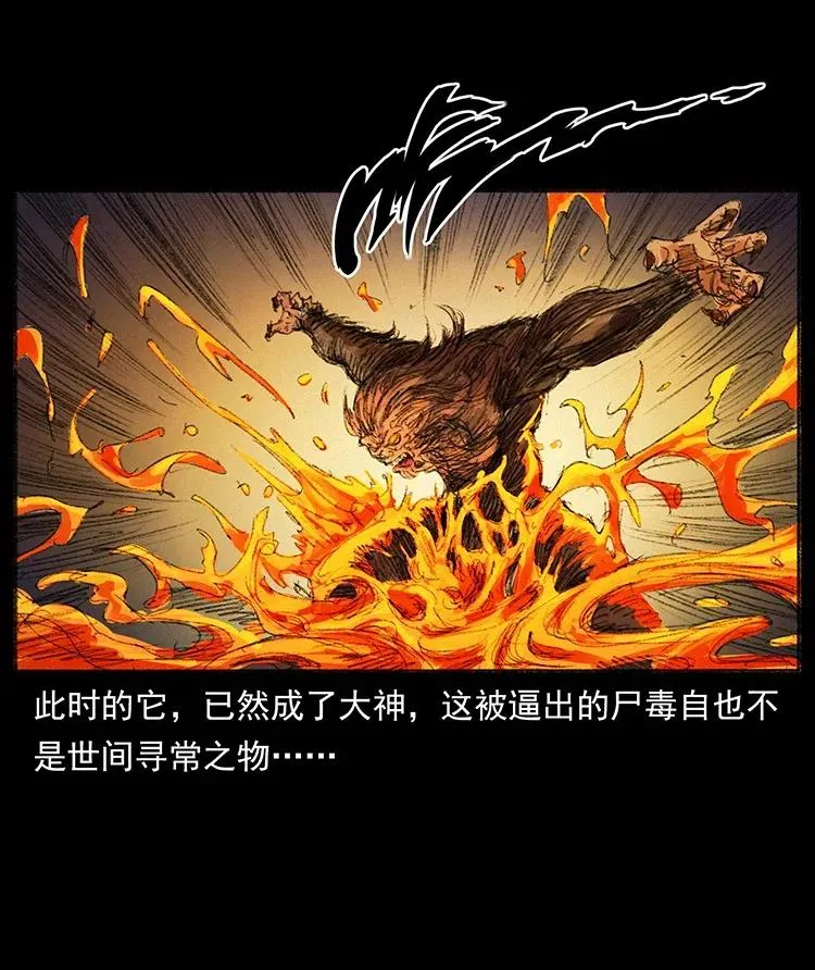 368 上古尸毒 第65页