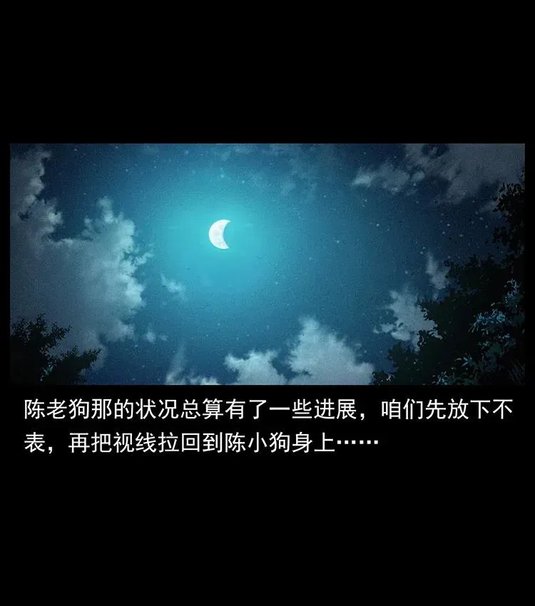 370 乌翅凤凰 第2页