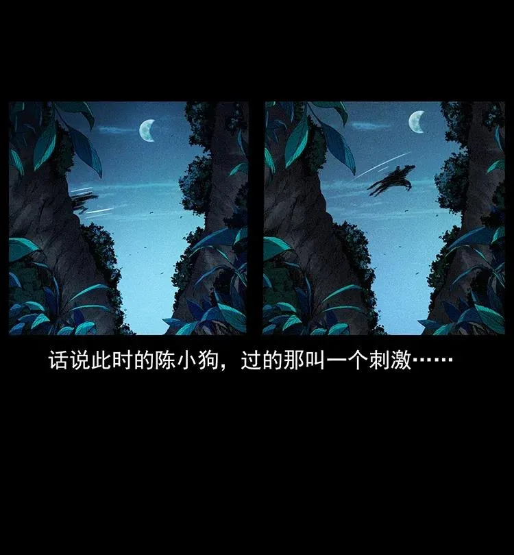 370 乌翅凤凰 第3页
