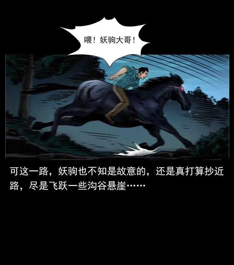 370 乌翅凤凰 第5页