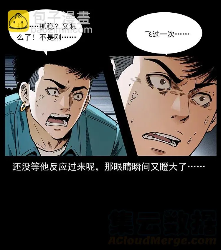 370 乌翅凤凰 第7页
