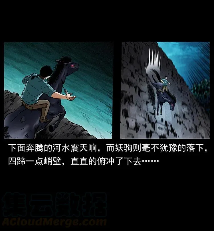 370 乌翅凤凰 第10页