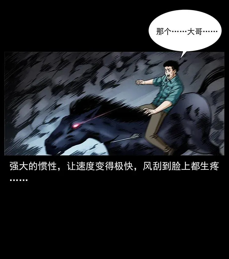 370 乌翅凤凰 第11页