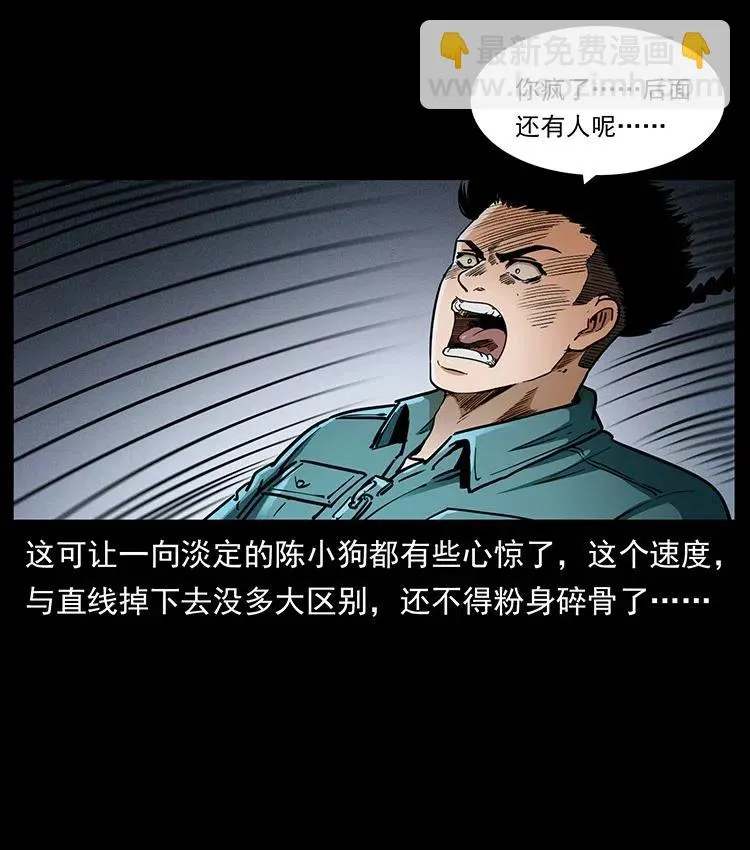 370 乌翅凤凰 第12页