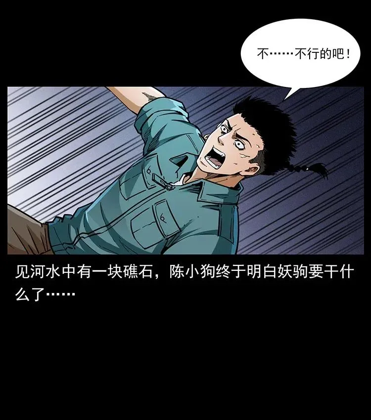 370 乌翅凤凰 第14页