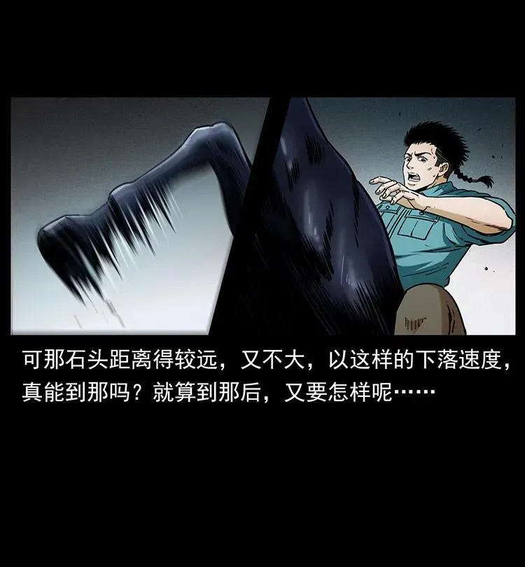 370 乌翅凤凰 第15页