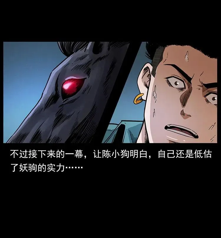 370 乌翅凤凰 第17页
