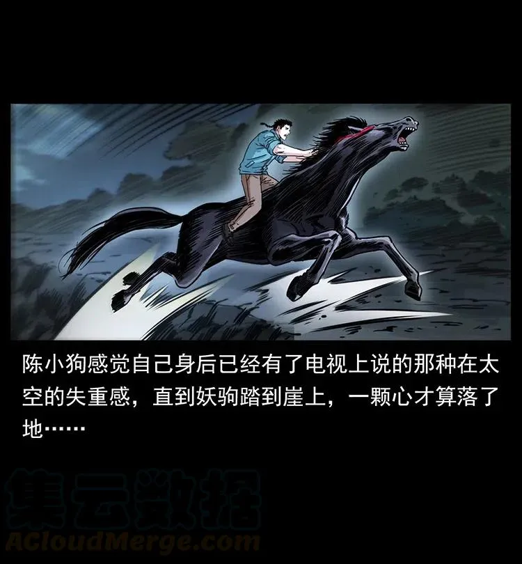 370 乌翅凤凰 第19页